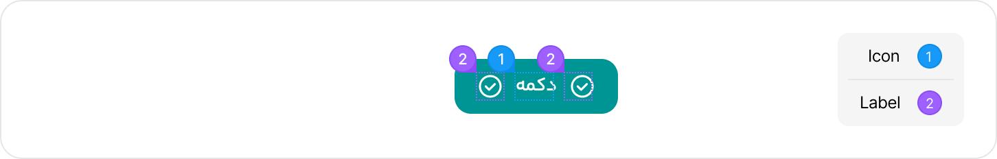 آناتومی دکمه