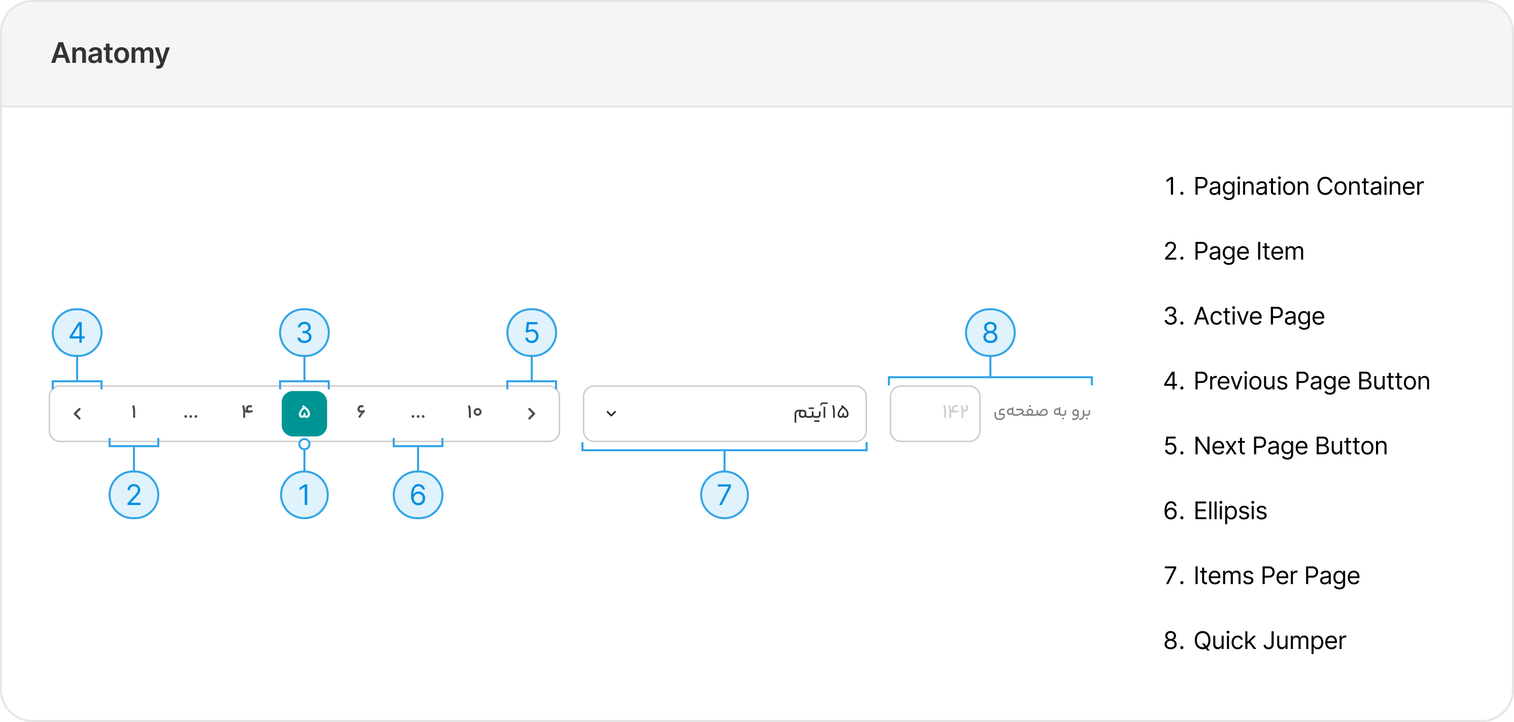 anatomy