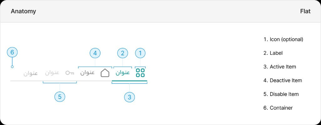 آناتومی مسطح